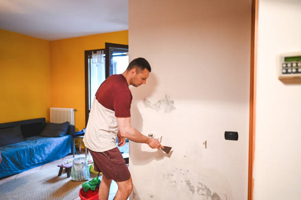 Best DIY Mold Remediation Support Services in , OR